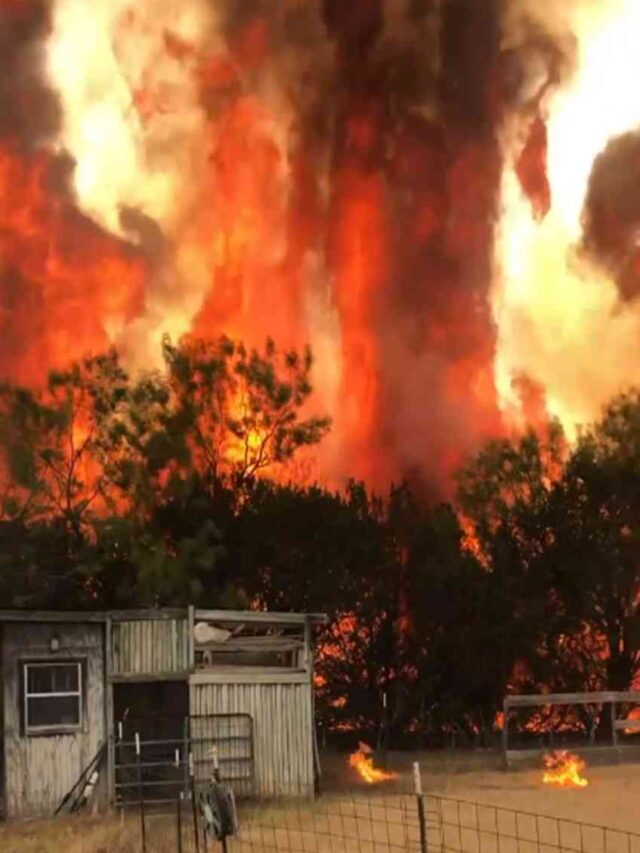 Texas wildfires: 2nd biggest fire in US history blazing 1 million acre